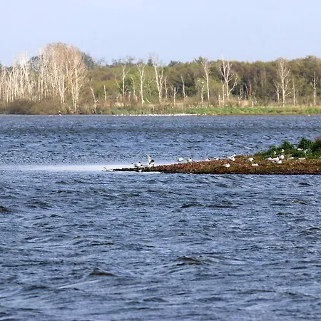 6 Person In Henne-by Traum Feriehus Henne Strand