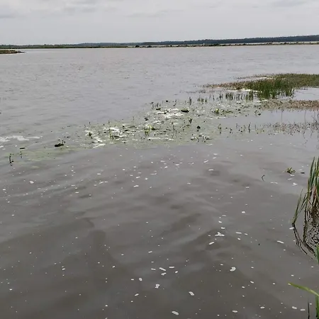 6 Person In Henne-by Traum Feriehus *