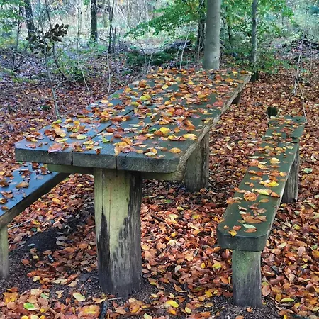 Prázdninový dům 6 Person In Henne-by Traum Henne Strand