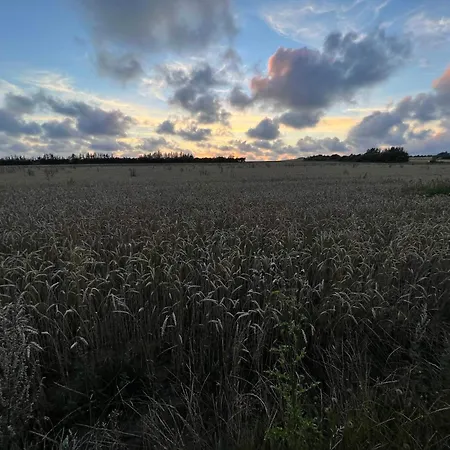 Feriehus 6 Person In Henne-by Traum *