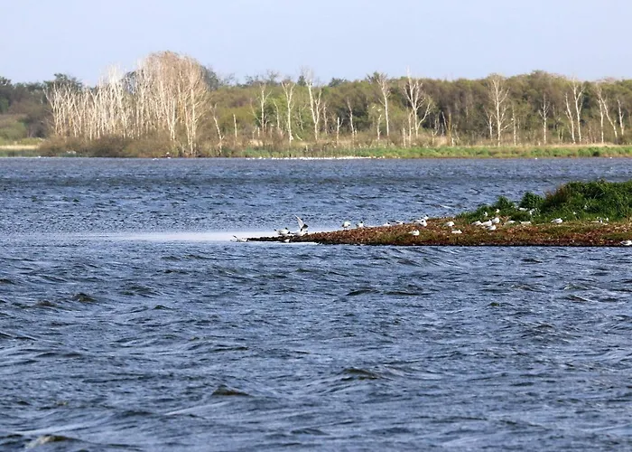 6 Person In Henne-by Traum Tatil Evi Henne Strand
