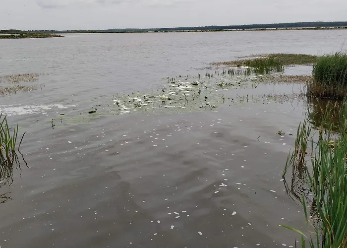 6 Person In Henne-by Traum Tatil Evi *