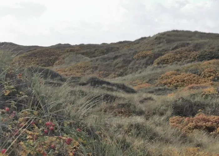 6 Person In Henne-by Traum Henne Strand