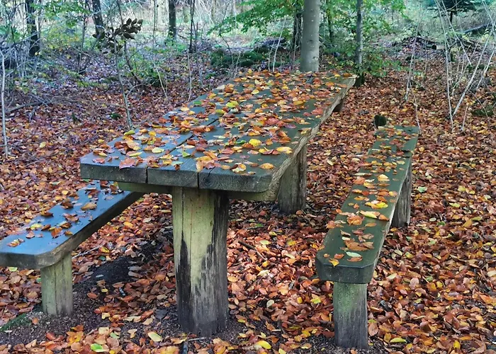 Tatil Evi 6 Person In Henne-by Traum Henne Strand