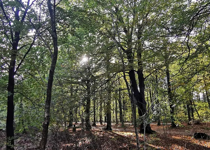 6 Person In Henne-by Traum *