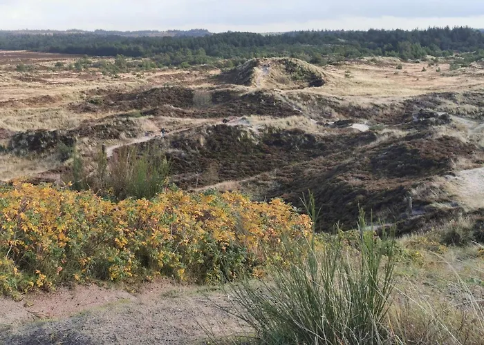 Tatil Evi 6 Person In Henne-by Traum