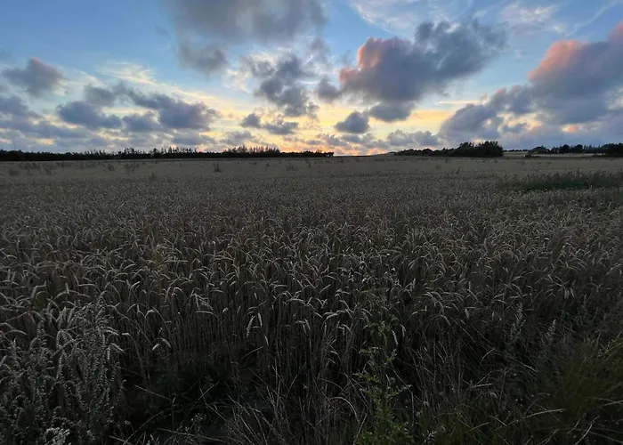 Tatil Evi 6 Person In Henne-by Traum *